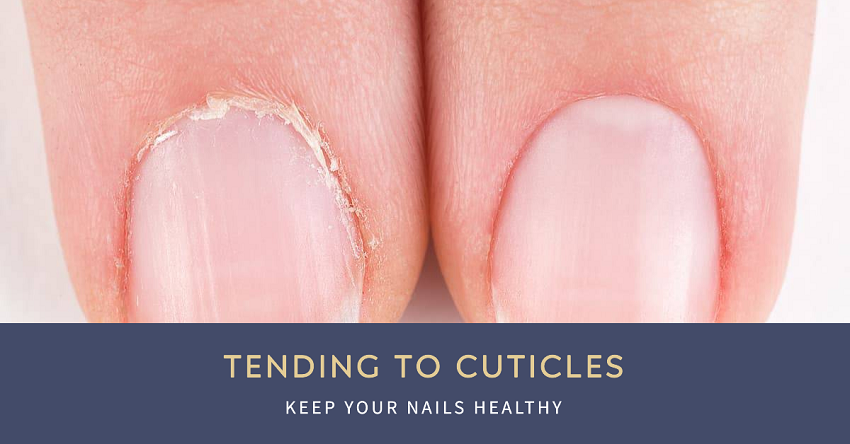 Tending to Cuticles