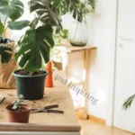 10 Strategies for Crafting a Balanced and Inspiring Workspace