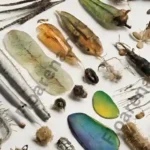 Treasure Trove Collection College Board's Essential AP Biology Resources