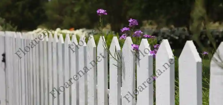 A Step-by-Step Guide to Understanding your Fence Quote