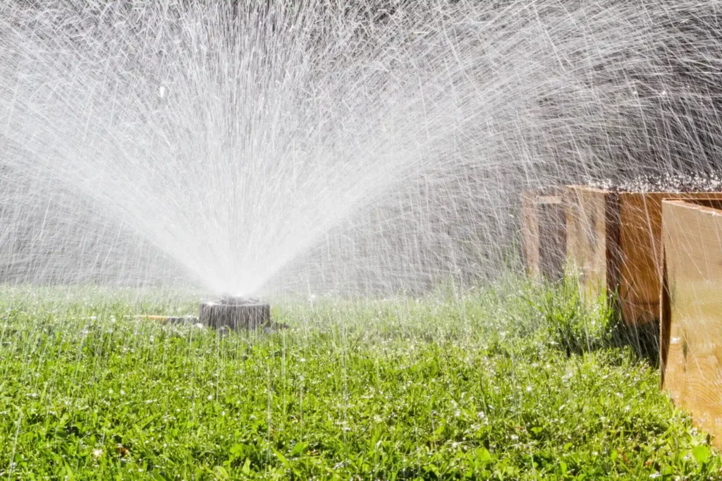 Professional Irrigation Service for Your Lawn (1)